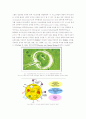 바이오 센서의 시장 동향과 기술 동향 조사 및 응용 사례 조사 분석(A+레포트)★★★★★ 6페이지