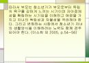 청소년기 발달과 사회환경 38페이지