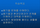 폐기물에 의한 환경문제와 대책 2페이지