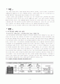 국민 연금 개혁안 문제점 및 해결 방안-외국사례포함(A+레포트)★★★★★ 3페이지