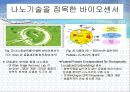 바이오 센서를 이용한 유류저장탱크 누유 방지시스템 8페이지