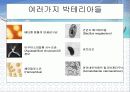 바이오 센서를 이용한 유류저장탱크 누유 방지시스템 13페이지