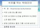 바이오 센서를 이용한 유류저장탱크 누유 방지시스템 14페이지