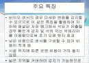 바이오 센서를 이용한 유류저장탱크 누유 방지시스템 24페이지