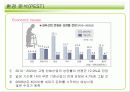 실버산업의 국내 외 현황(A+레포트)★★★★★ 17페이지