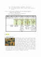   자궁경부암 case study 4페이지