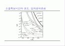 21C 시장을 지배할 New Product 28페이지