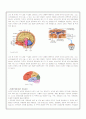 뇌종양 (brain tumor) 환자 케이스 3페이지