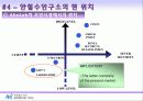 [경영학] 안철수 바이러스 연구소 분석 연구 28페이지