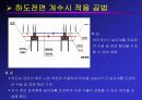 자연형 하천의 공법과 실제 사례에 관한 연구보고 22페이지