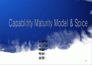Capablitity Maturity Model & Spice (CMM) 1페이지