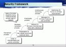 Capablitity Maturity Model & Spice (CMM) 13페이지