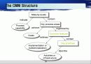 Capablitity Maturity Model & Spice (CMM) 24페이지