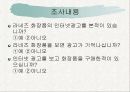 라네즈인터넷광고가 구매에 미치는영향(조사자료) 6페이지