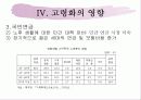 고령화사회 14페이지