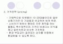 속옷 판매 창업계획서 (A+레포트)★★★★★ 22페이지