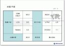 [창업,시장분석] VK Mobile의 사업 실패분석 - 동기, 소개, 비교 ,SWOT, STP, 실패요인등 정리 7페이지