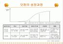 인터넷 비지니스 성공요인 분석 - [인터넷 비지니스 성장과정, 성공사례등 정리] 3페이지