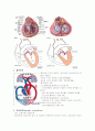 심장의 구조 및 기능 3페이지