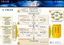 [인사관리] 전직지원제도와 사례연구 (교보생명, 국민은행) 23페이지