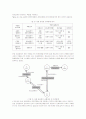 SCM(공급망관리)의 이론적 고찰과 물류산업의 공급망 사례분석 15페이지