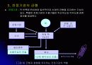 신경 구조 및 운동 22페이지