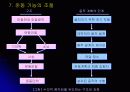 신경 구조 및 운동 27페이지