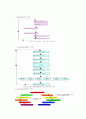 [교육학] 평생교육프로그램의 이론적 기초 20페이지