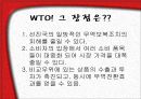 세계무역기구(WTO) 7페이지