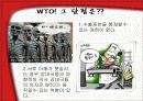 세계무역기구(WTO) 8페이지