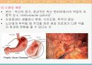 노화와 신체적 변화 15페이지