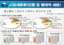 삼성 SDI 의 마케팅전략 분석 22페이지