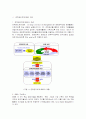 기업경영정보 전략관리체계(SEM)의 프로세스와 적용사례 3페이지