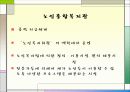 (노인복지) 노인문제 - 노인빈곤 중심)의 원인과 해결방안 33페이지