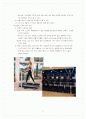 미샤의 새로운 시장진출분석(헬스, 속옷, 다이어트음료-시장매력도, 경쟁우위, 적합성조사) 9페이지