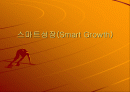 스마트성장(Smart Growth) 1페이지