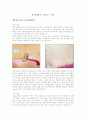 행운을 부르는풍수인테리어 1페이지