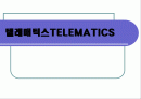 텔레매틱스TELEMATICS 1페이지