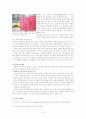 한국 미술전시의 블록버스터화 10페이지