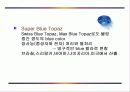 토파즈 (Topaz)에 대해서. 11페이지