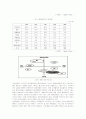 [음료산업]롯데칠성음료의 경영분석과 차별화 전략 10페이지