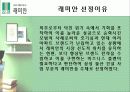 삼성 래미안 마케팅 기획서 (가치 극대화 방안모색) 3페이지