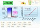 [마케팅] 남양유업 다각화전략과 17차 시장점유율 확보전략 9페이지