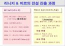 [국제경영] 리니지와 미르의 전설을 통해 본 중국의 게임산업 진출의 이해와 시사점 및 나아갈 방향(2007년 추천 우수 레포트 선정) 6페이지