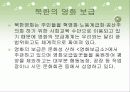 [남한 북한 영화] 남,북한 영화 비교 - 제작,보급,홍보,시설 4페이지
