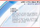 [남북 관계] 남북한 관계개선의 쟁점과 문제점 및 개선방안 (2007년 추천 우수 레포트 선정) 10페이지