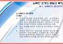 [남북 관계] 남북한 관계개선의 쟁점과 문제점 및 개선방안 (2007년 추천 우수 레포트 선정) 19페이지