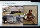 탈북 난민들의 인권문제에 대한 실태와 새터민 인권 보장을 위한 대책방안 (2007년  추천 우수 레포트 선정) 6페이지