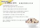 New Mass Luxury Product '하겐다즈' 마케팅 전략기획서 23페이지