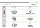 부산지역 축제의 활성화 방안 마케팅 전략 기획서 11페이지